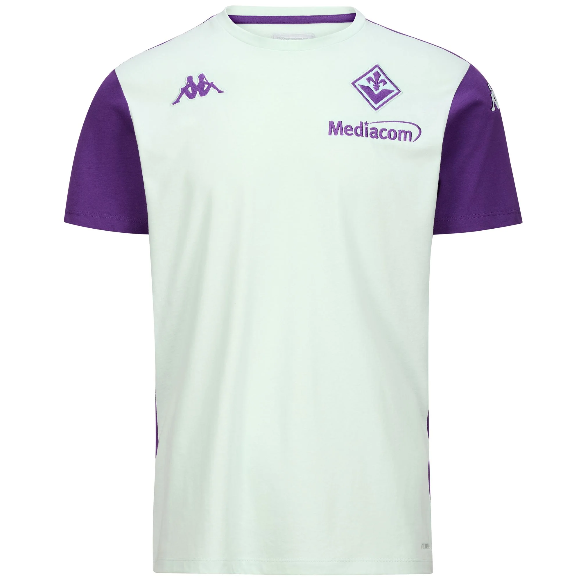 AYBAT 8 FIORENTINA - T-ShirtsTop - T-Shirt - Man - GREEN WATER-VIOLET INDIGO