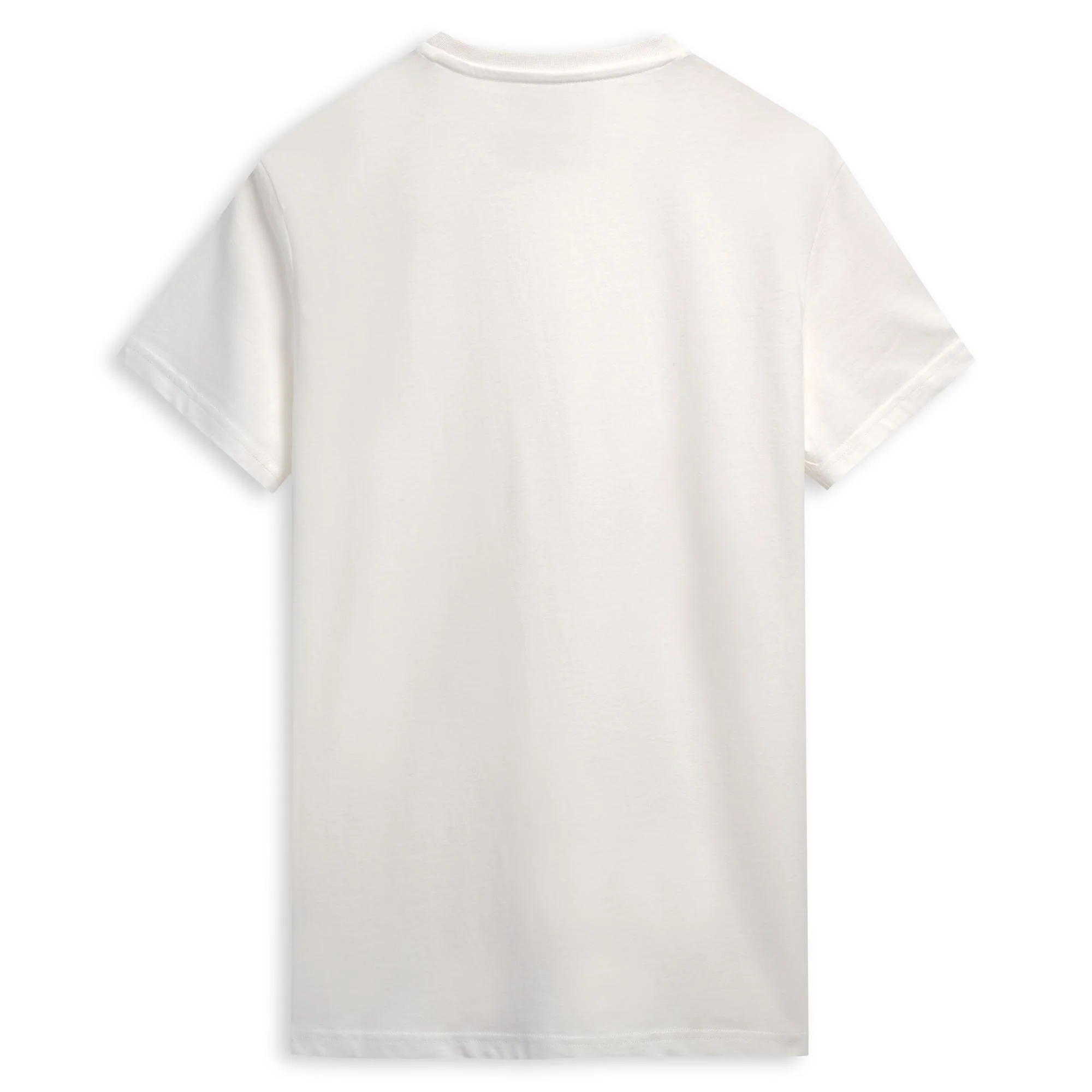 LUC - T-ShirtsTop - T-Shirt - Man - WHITE CLOUD-GREEN COLLEGE